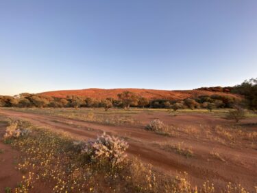 西オーストラリア ワイルドフラワーと知られざる観光地発見の旅 その2 WALGA ROCKの壁画